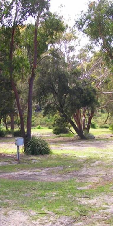 Scamander Tourist Park