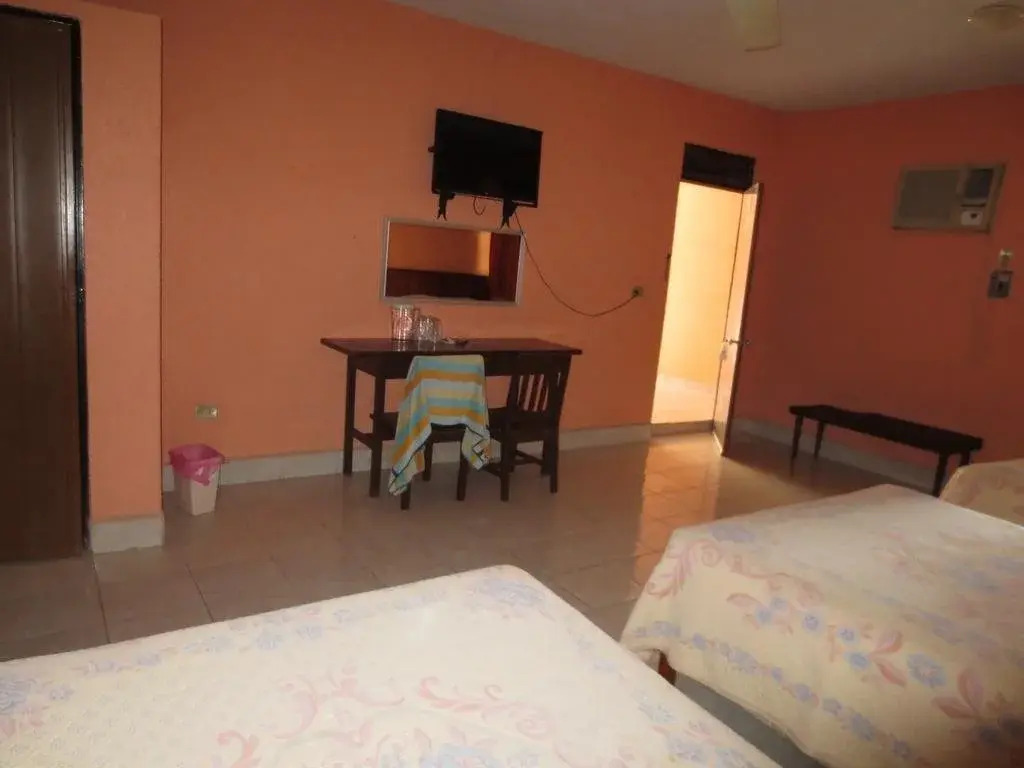 Hotel Piña