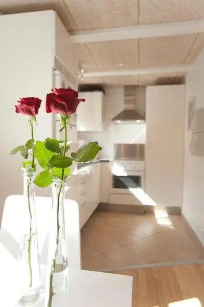 Rimmervej Annex
