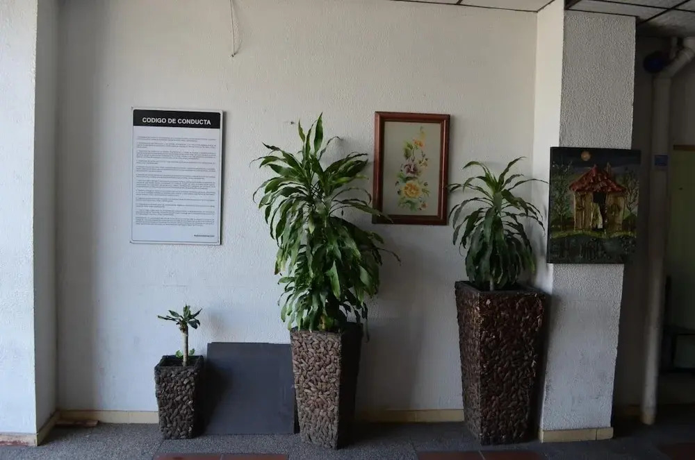 Hotel Elimar