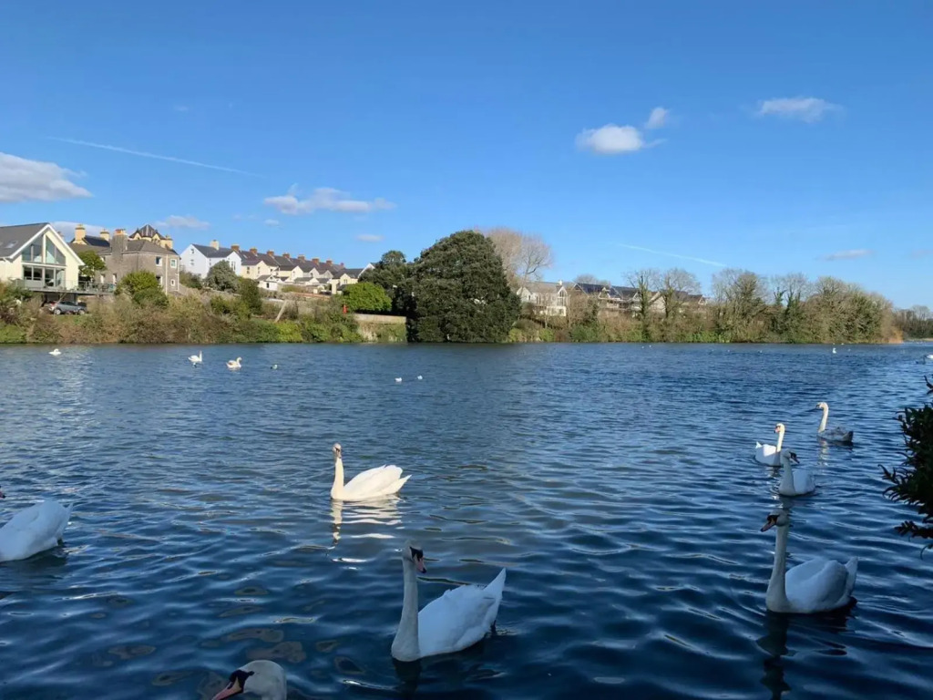 Mill Pond View
