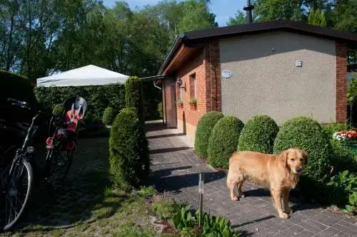 Spreewaldhäuser Golinski mit Kamin am Neuendorfer See