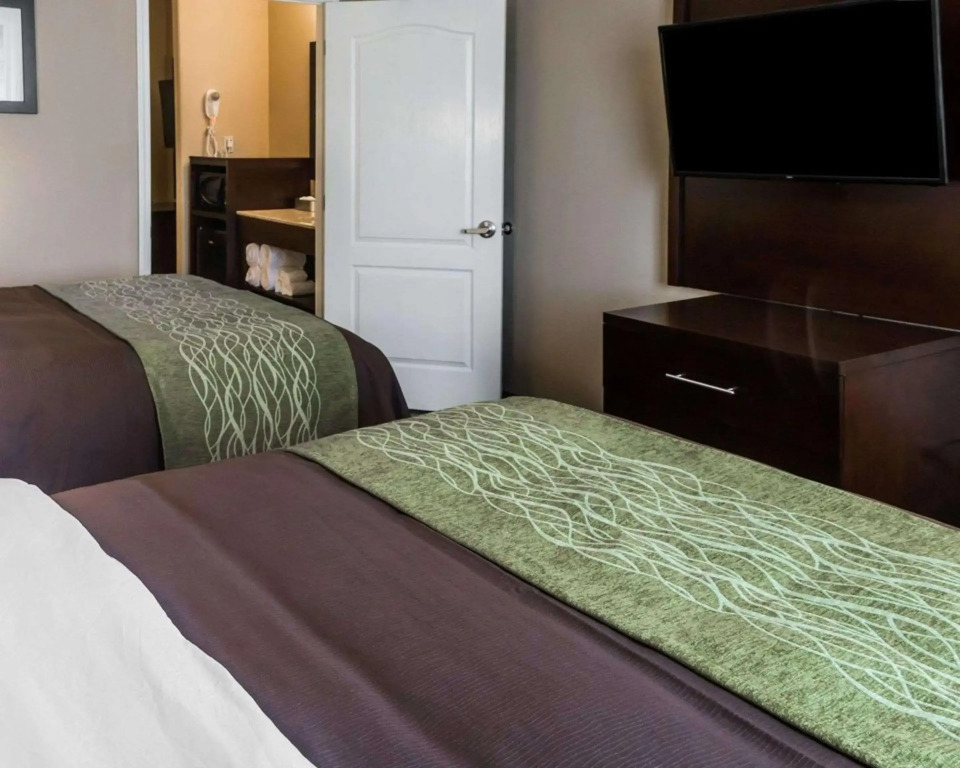 Comfort Inn & Suites Pharr - McAllen
