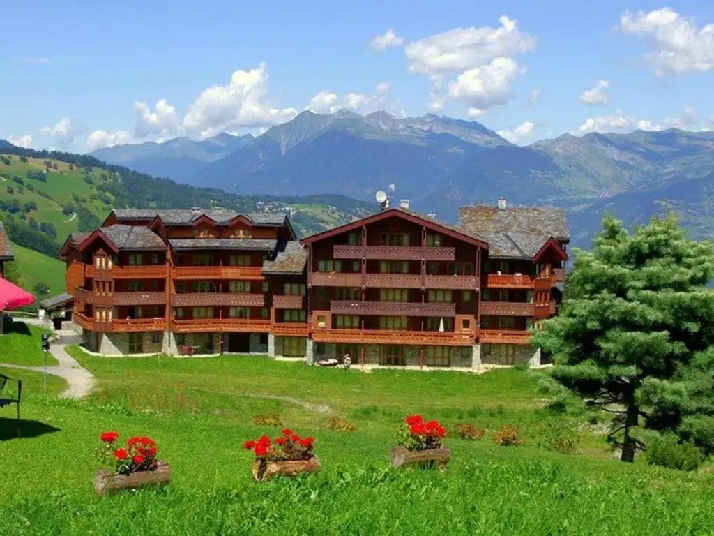 Valmorel: Appartement 1 Chambre, Animaux Acceptés, Casier à Skis, Balcon - FR-1-291-713