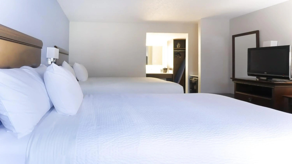 Hotel South Tampa & Suites