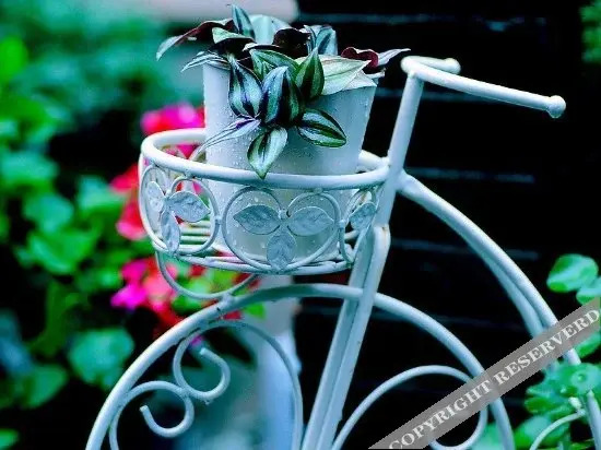 Lagom Stay Boutique Inn