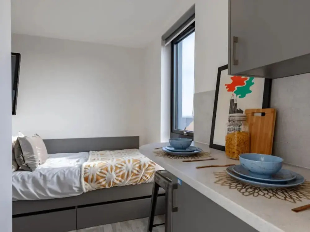For Students Only Fresh Oldway Centre 5 Min Walk to Swansea Station