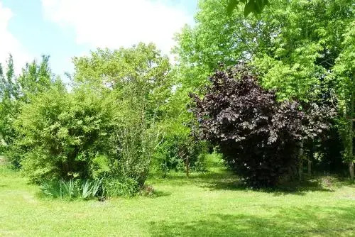 Holiday home Le Cayrac - 2