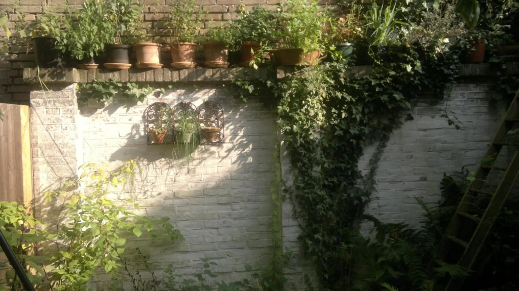 Smitsstraat B&B