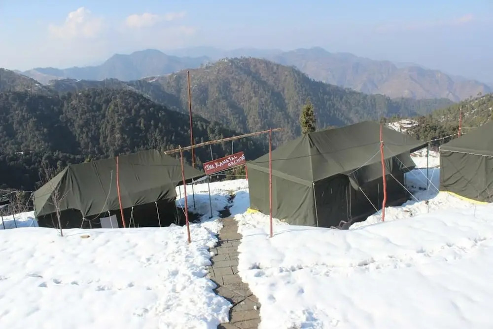 The Kanatal Orchids