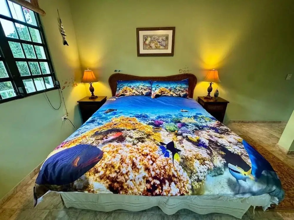 Vieques BioBay Bed and Breakfast