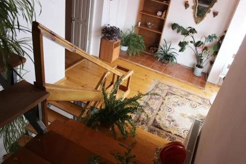 Mzia's House