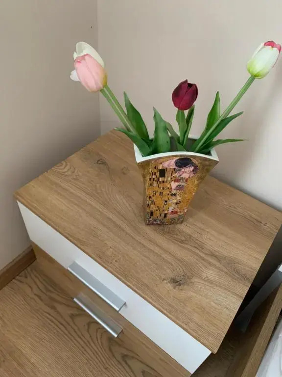 Zsuzsa Apartman Hajdúszoboszló