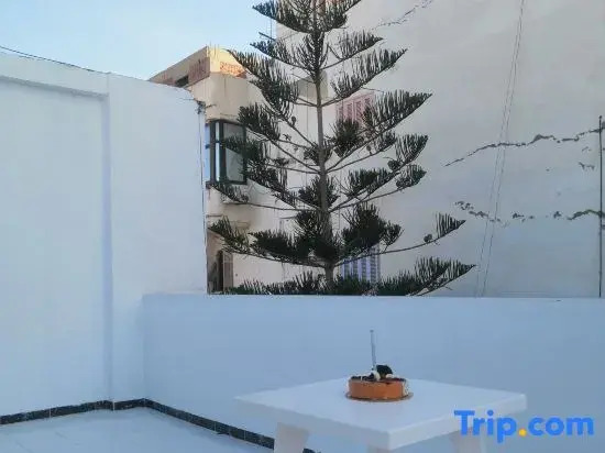 Loyality apartment