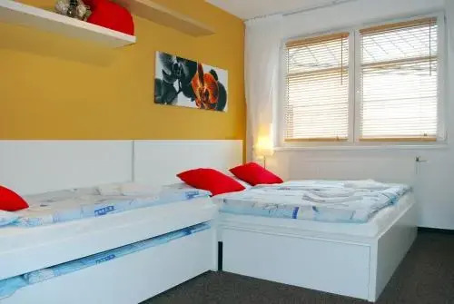 Apartmán 110 Rokytka u sjezdovky