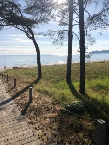 Ankerplatz Binz im Haus Strelasund