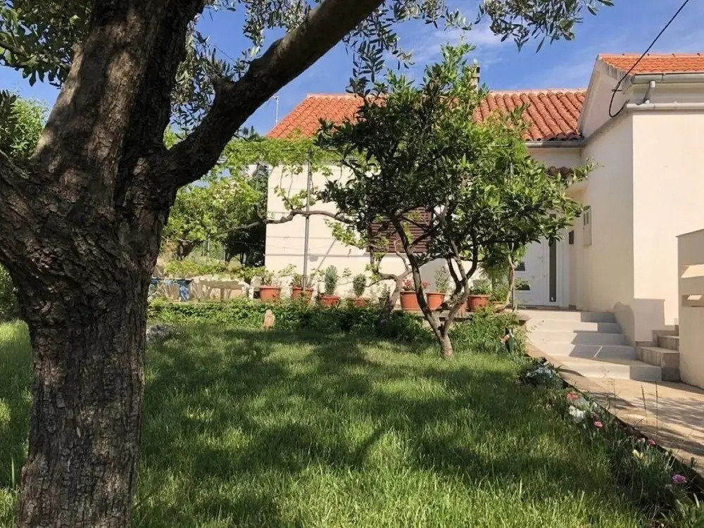 Ružica - 50m From the sea - A1-ruža
