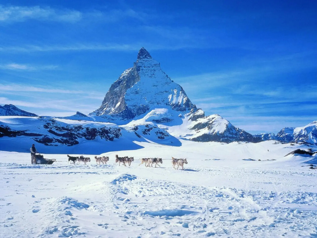 Glacier Views & Ski Trails