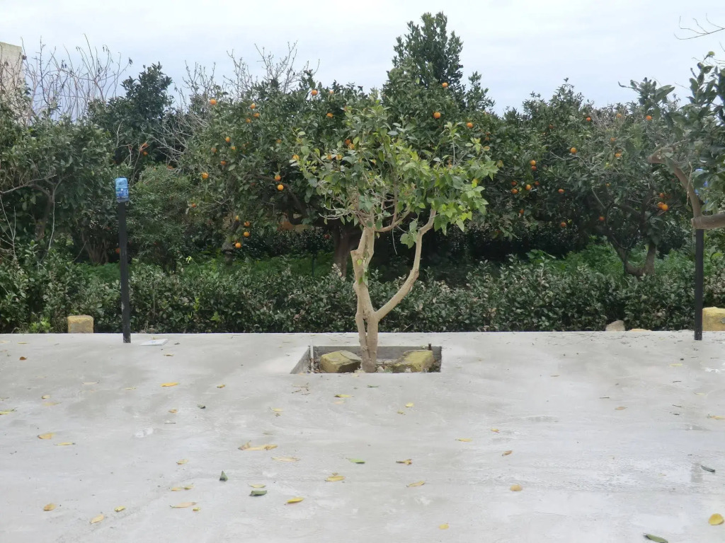 Giardini di Eolo - Residence dei Profumi