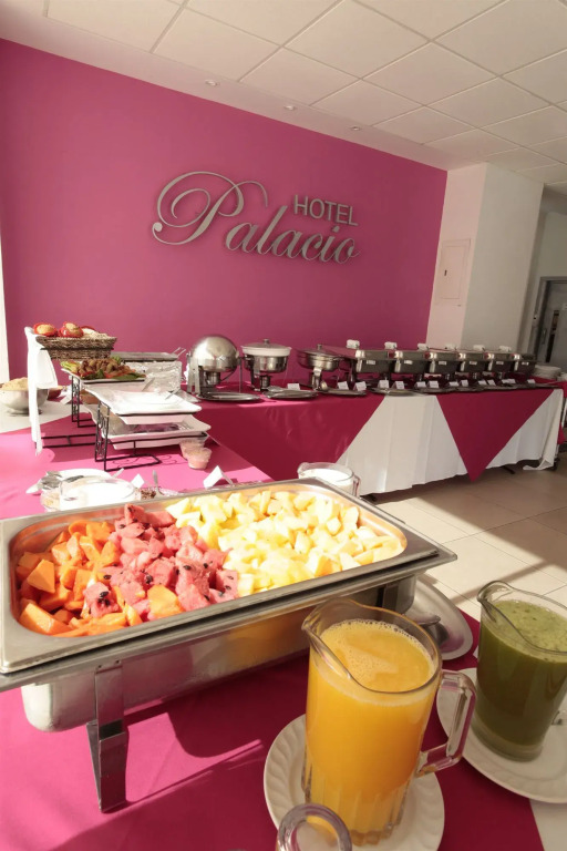Hotel Palacio
