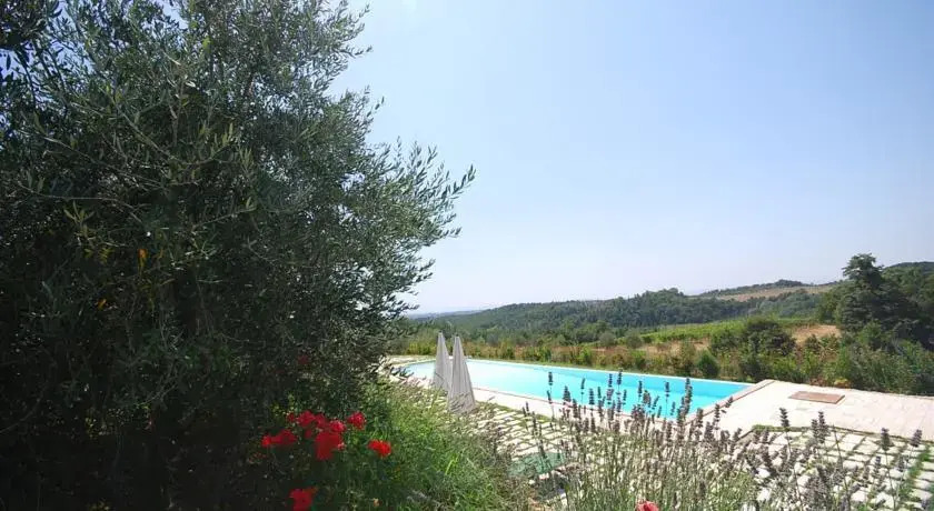 Lavanda