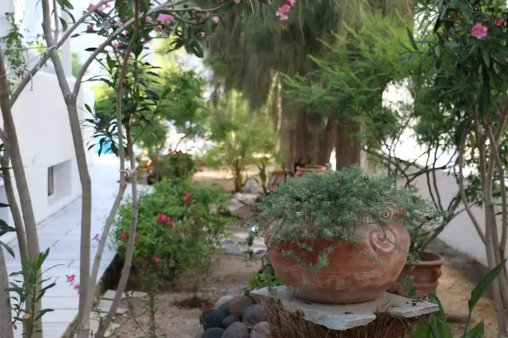 SPIROS & HIROKO Hotel