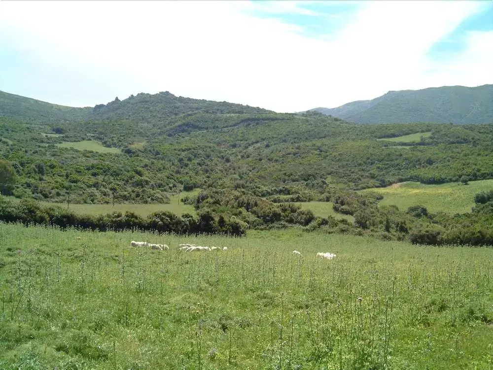 LOasi del Cervo