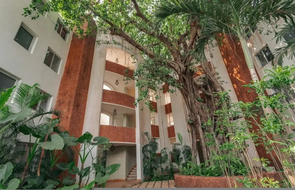 El Arbol - 306 in Nerul