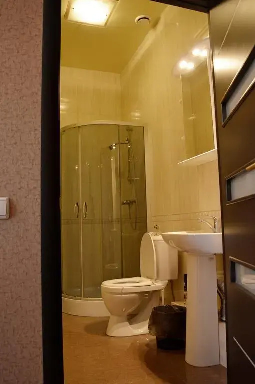Mini Hotel Vulcan