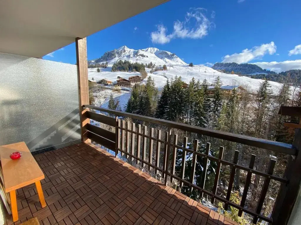 Appartement Le Grand-Bornand, 1 pièce, 4 personnes - FR-1-241-239