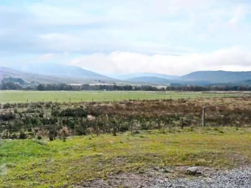 Braewood
