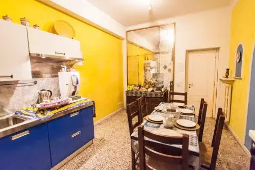 B&B Anturium