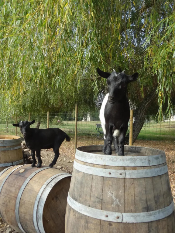 Kyriad Libourne Saint Emilion