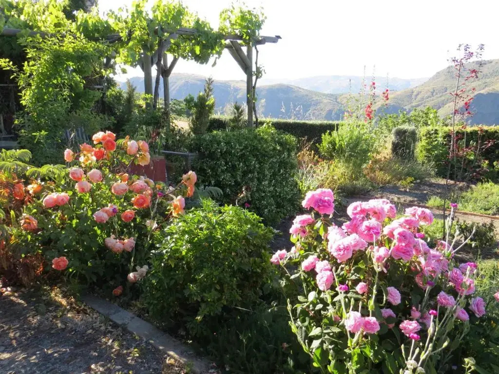 Cortijo Opazo