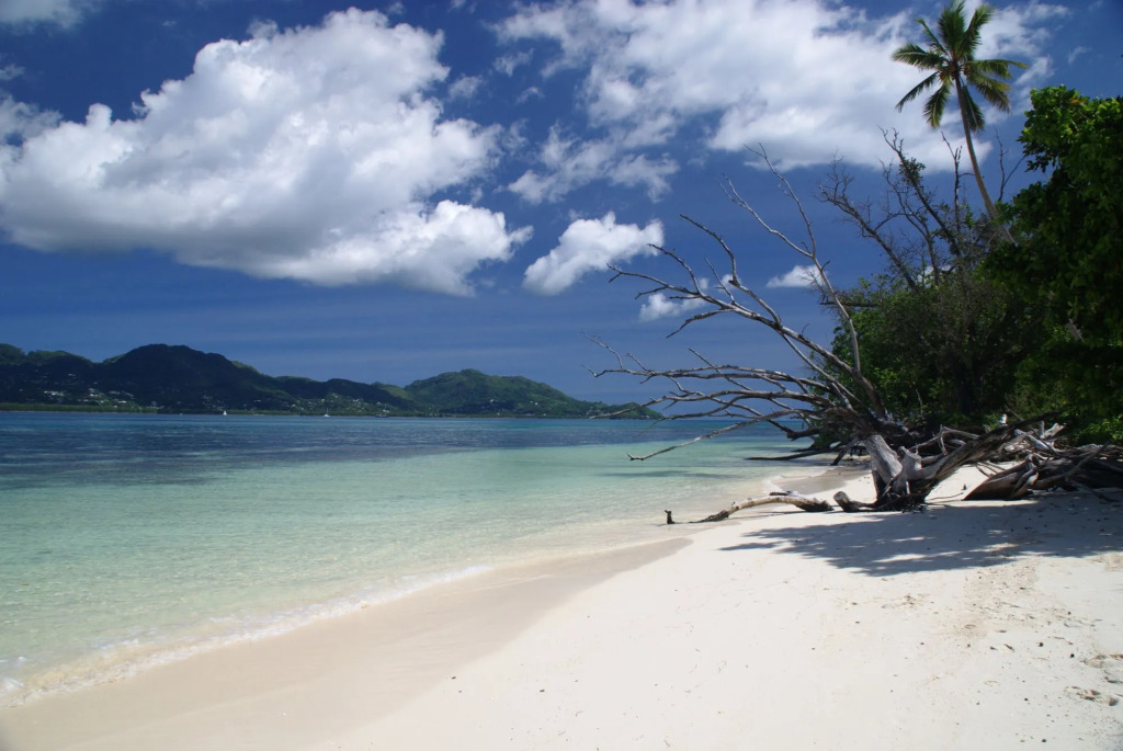 Fairy-Tern Chalets Cerf Island
