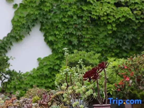 Hongcun Xizeyuan · Huizhou Courtyard Resort