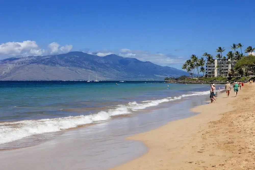 AEI at Maui Banyan
