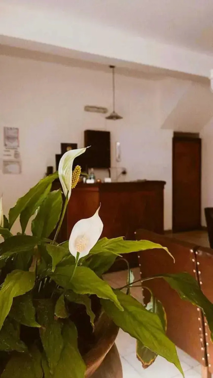 HOSTAL TILIAN
