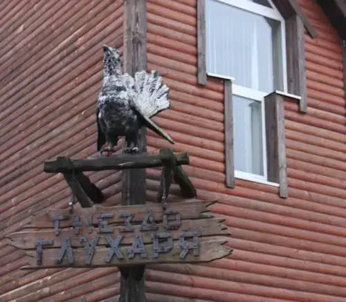 Gnezdo Gluharya Hotel