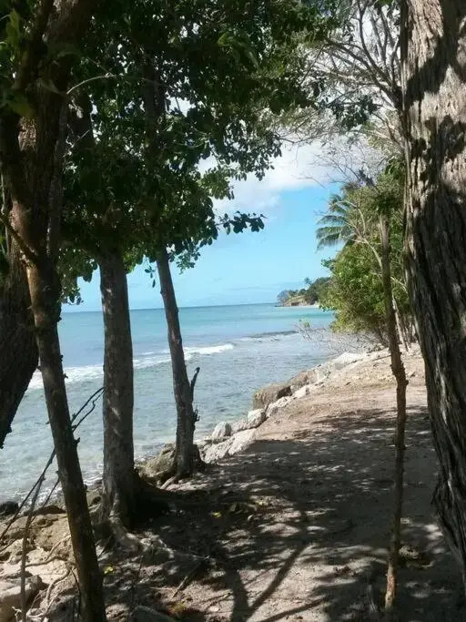 Appartement 4 pers Ste-Luce sur la rte des plages