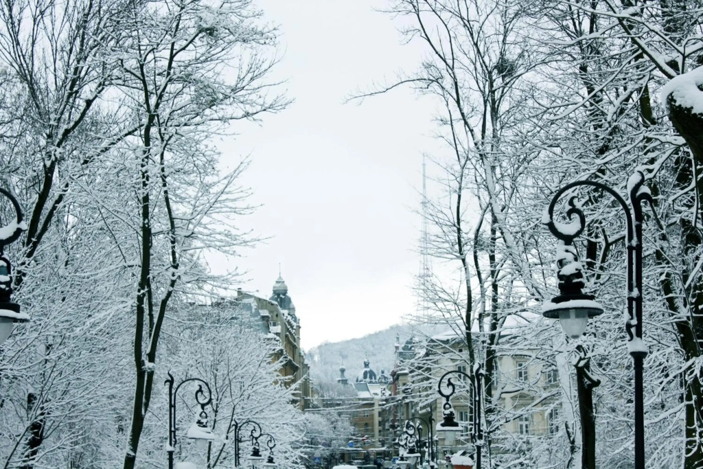 Avenue Apartments