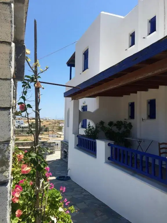 Selini Studios