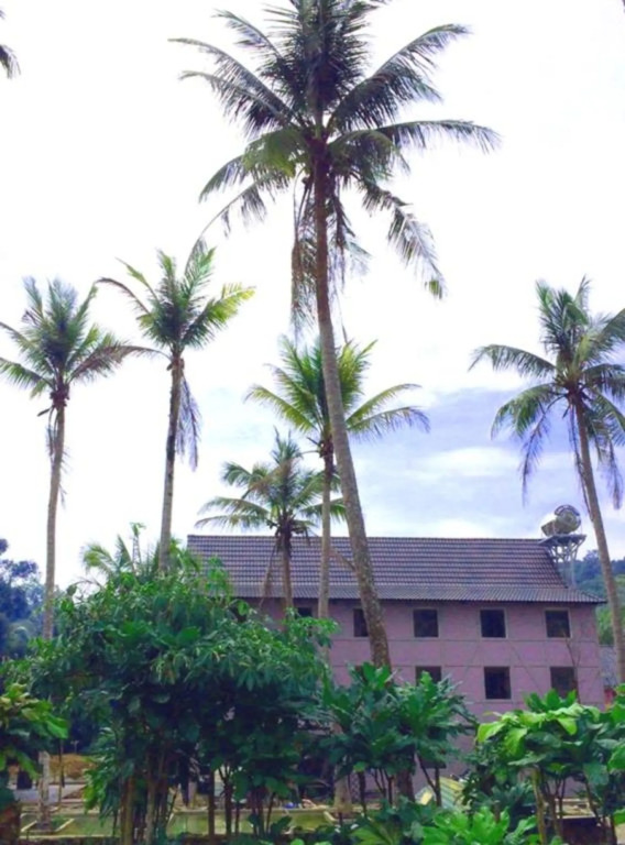 Lilac Cottage Homestay
