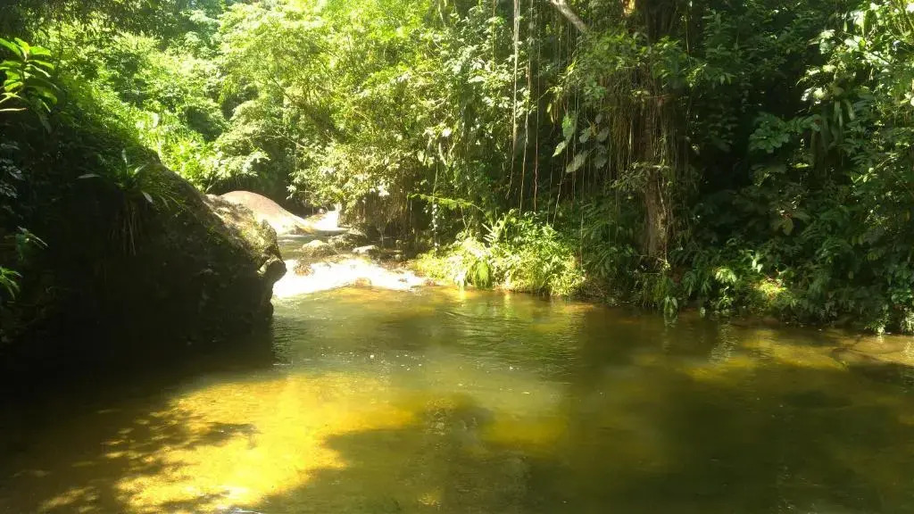 Aconchego Graúna