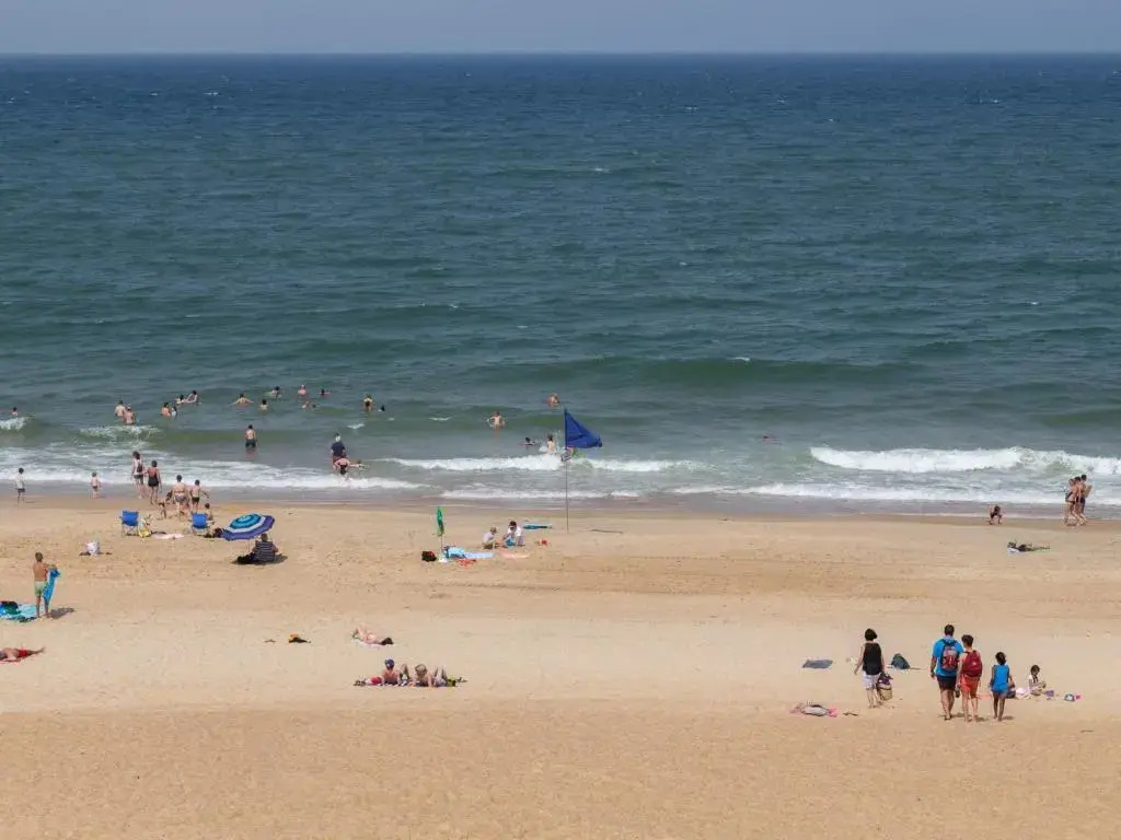 Appartement Capbreton, 1 pièce, 4 personnes - FR-1-239-386