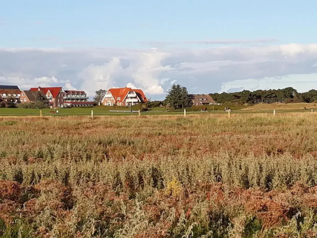 Ferienhaus Nordstrand Whg 5