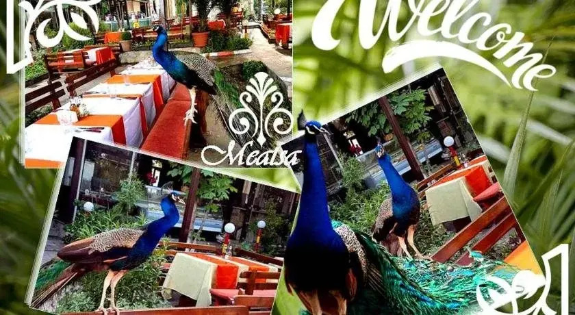 Meatsa Hotel
