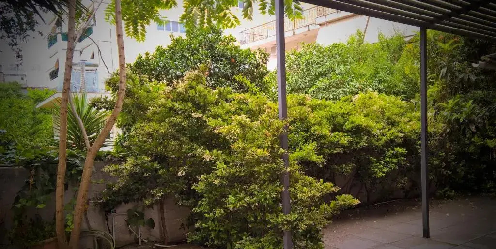 Minimal Studio in Paleo Faliro