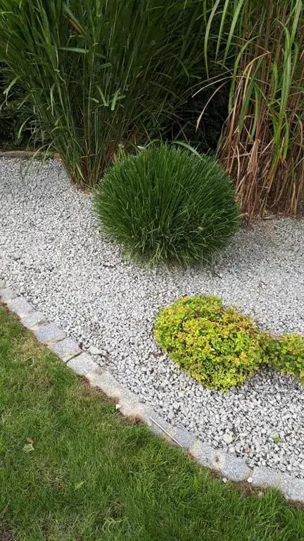 Apartamenty pod Wilczakiem