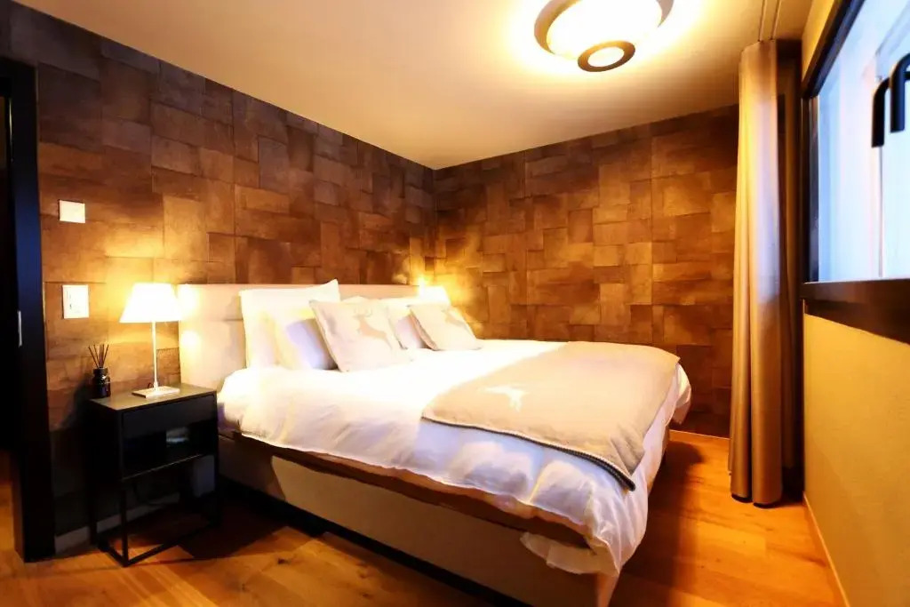 Hollywood 1 - A luxury, comfortable and spacious apartment located directly on the slopes!